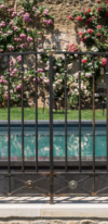 Photo Grille Piscine Francois 2017
